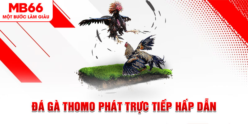 fi88 xổ số thứ tư