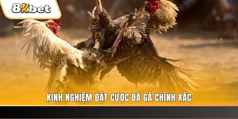 fi88 xổ số thứ bảy hàng tuần