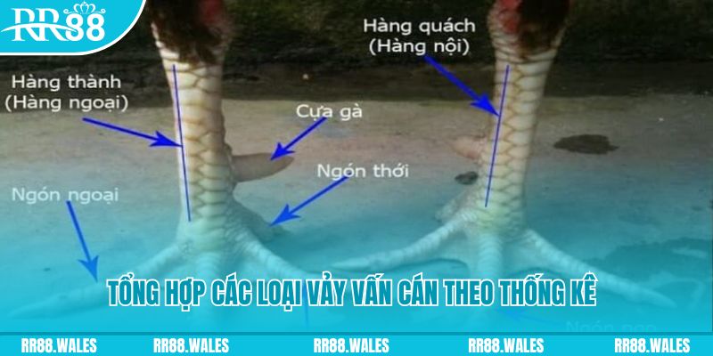 fi88 xổ số miền nam thứ sáu
