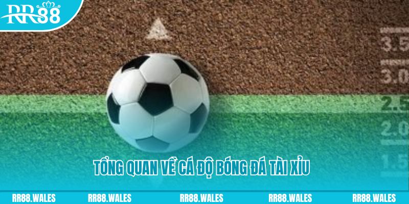 fi88 đăng nhập roulette online