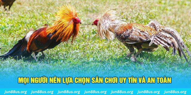 fi88 Cỡ bảy