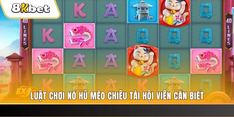 fi88 gà chọi cu cần