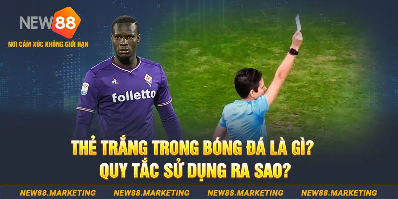 fi88 đăng nhập sòng bạc hôm nay