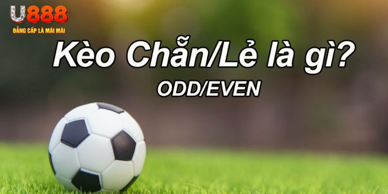 fi88 đăng nhập sòng bạc 2024