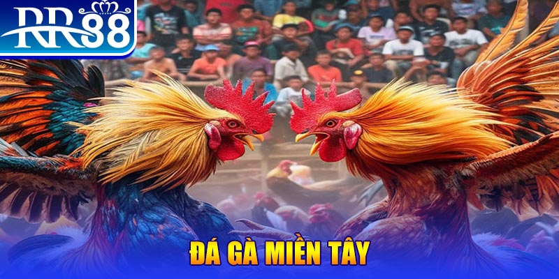 fi88 người chia bài trong casino gọi là gì